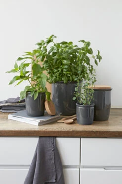 Knabstrup Keramik Pickle Kurk Voor Pot 4 Liter -Keukenwinkel 506876 01 2 EnvironmentImage 87ac8e0c8c