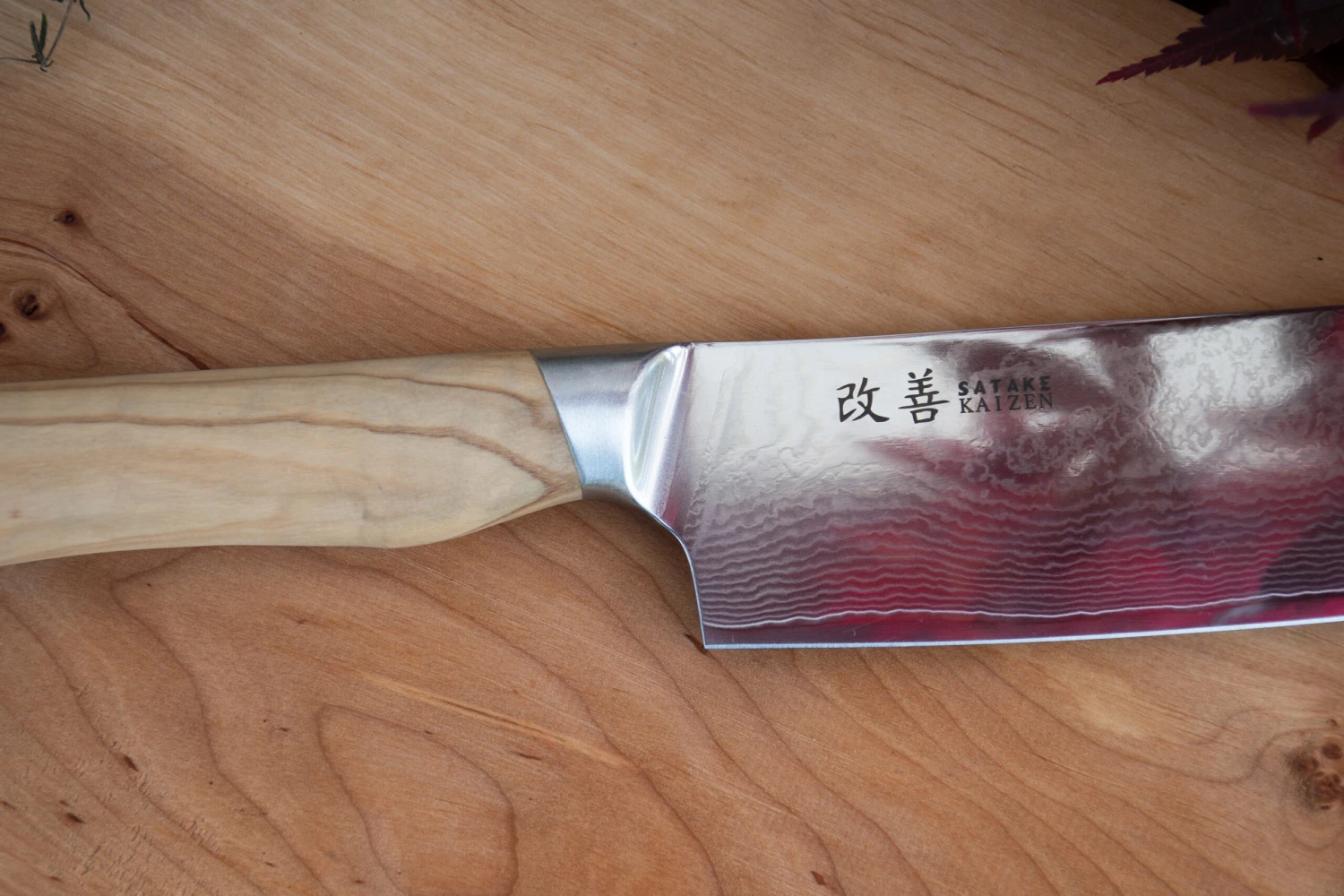 Satake Kaizen Gyuto Koksmes 5 Satake Kaizen Gyuto Koksmes - Afbeelding 3